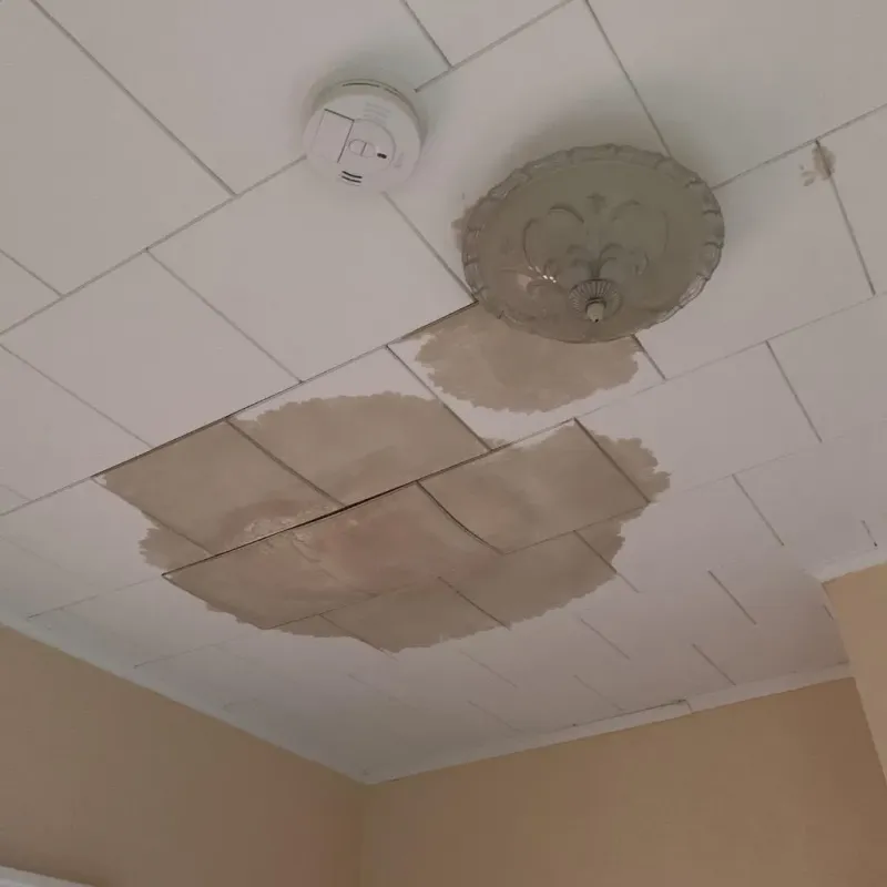 Ceiling Water Damage Repair in Janesville, MN