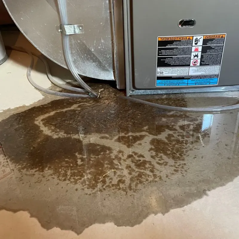 Pipe Burst and Leak Restoration in Janesville, MN